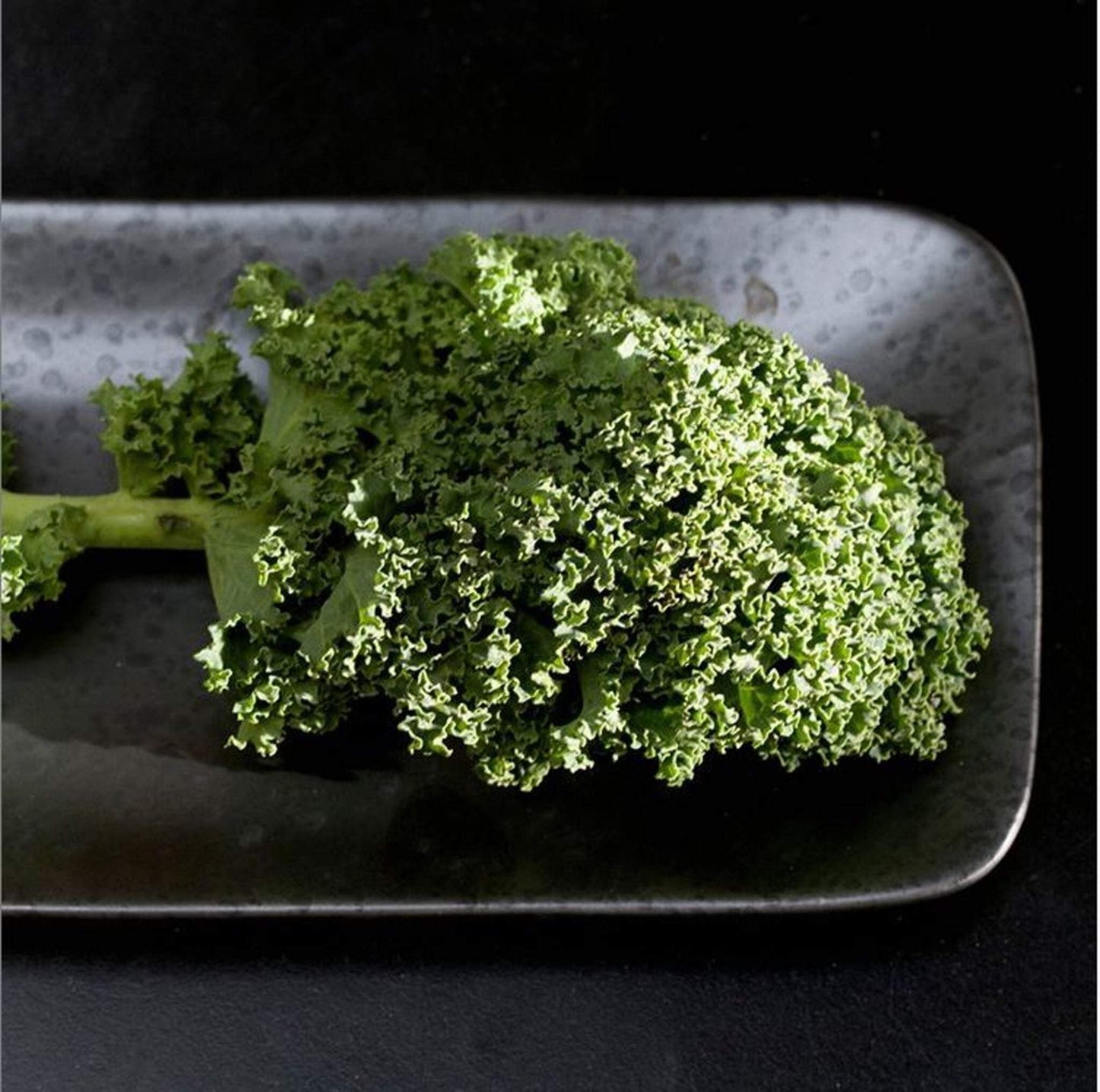 NATIVE serving plate